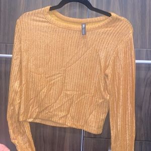 Zara long sleeve shiny top
